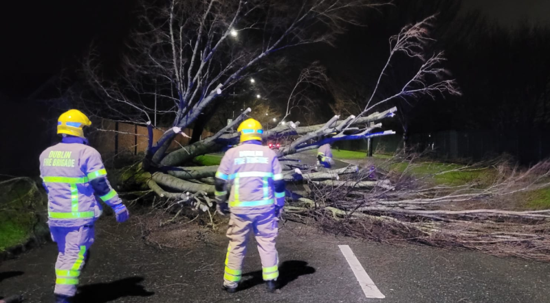 ALERT: Caution urged as large number of trees are knocked during record-breaking Storm Éowyn