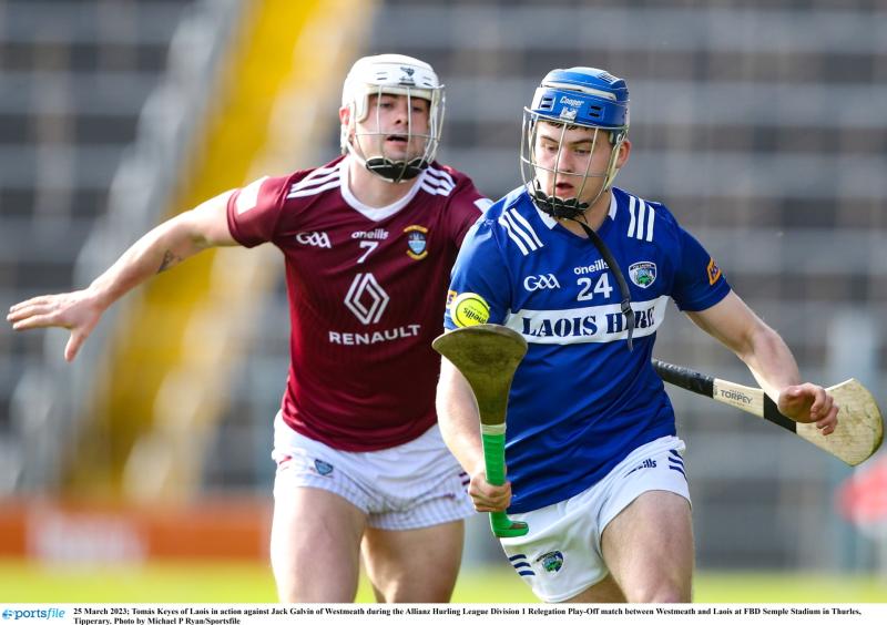 Post Storm &Eacute;owyn freeze forces Laois hurling postponement