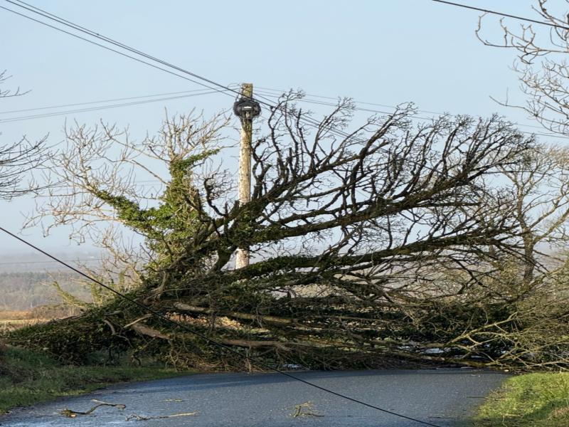 Clean up continues across Longford in wake of Storm &Eacute;owyn