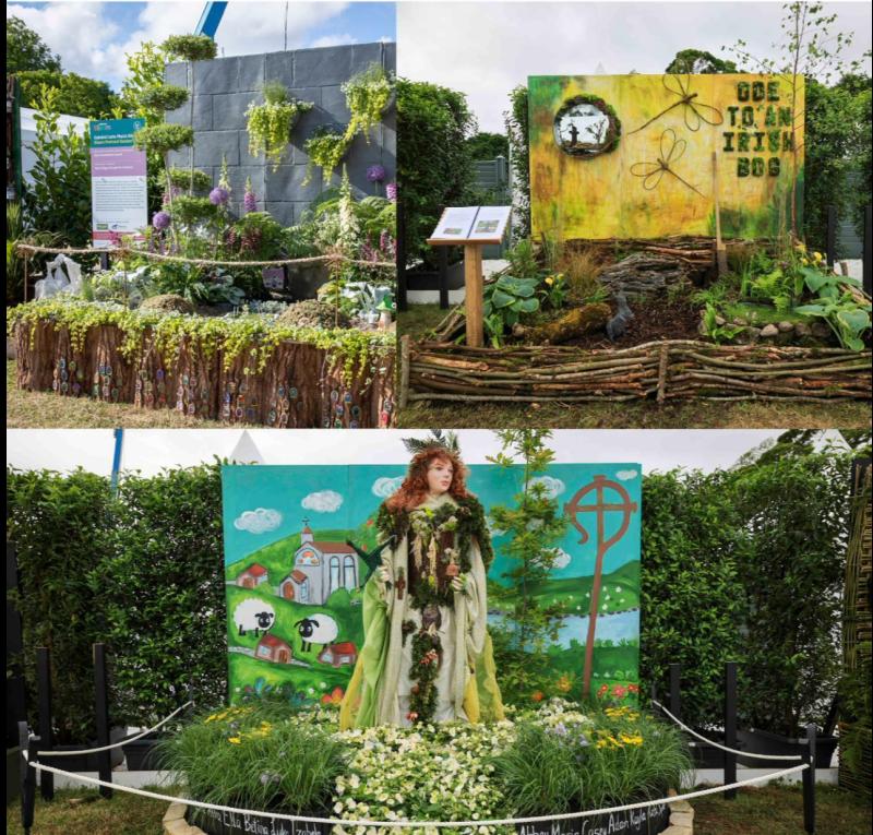 WANTED: Waterford gardeners wanted for the 19th Bord Bia Bloom festival