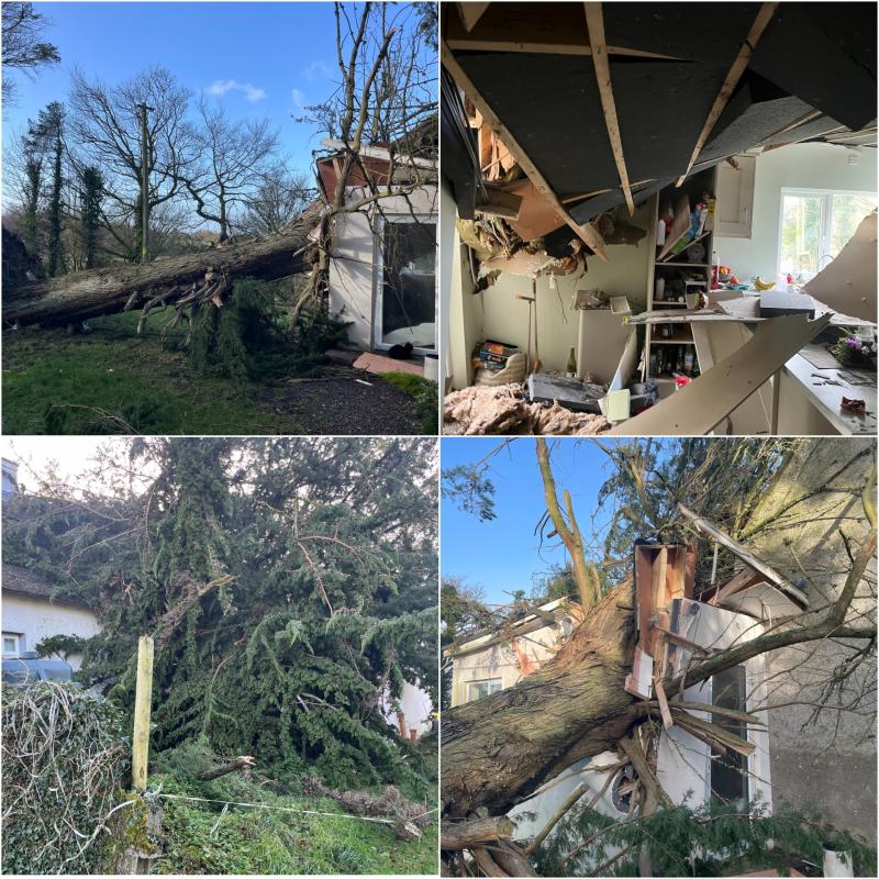 Storm Éowyn sends a tree crashing into Longford Grandmother's home
