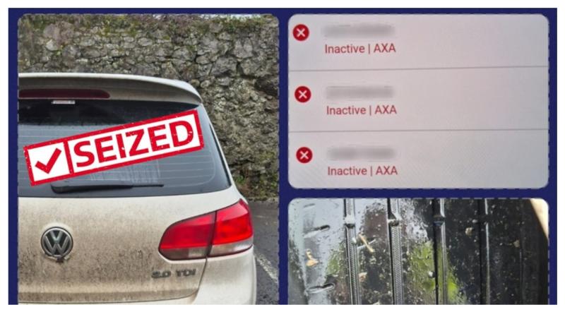 Laois gardaí issue public warning after they stop motorist and seize vehicle 