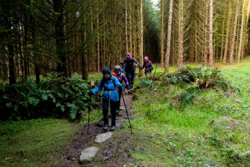 Green Limerick: Embracing outdoor spaces for Limerick on Foot 2025