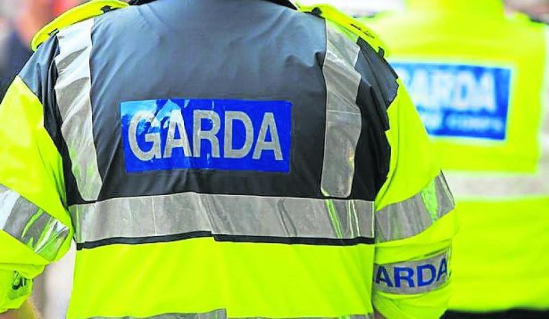 LIVE: Juveniles among four arrested following violent incident in public park in Roscommon