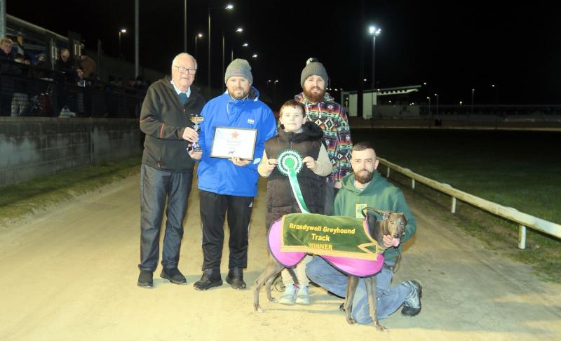 Derry Greyhounds: Newsreel unveils the script for success in Premier Greyhound Sales 500