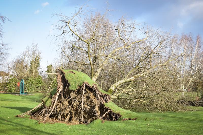 Who would have thought that in 2025 households in Longford would be without power for almost two weeks?&nbsp;