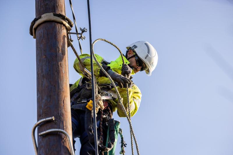 Nearly 4,000 Leitrim homes without power over 10 days after Storm Éowyn
