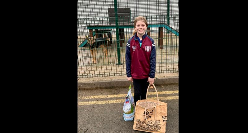 Young girl proves 'not all superheroes wear capes' by raising funds for Kilkenny Dog Shelter