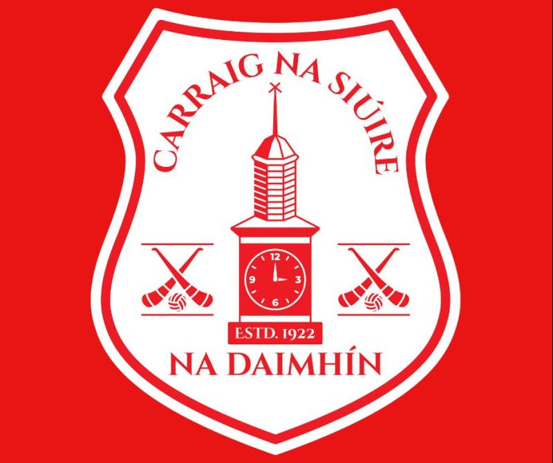 Carrick-on-Suir GAA club receives donation of goal posts for its juvenile training academy