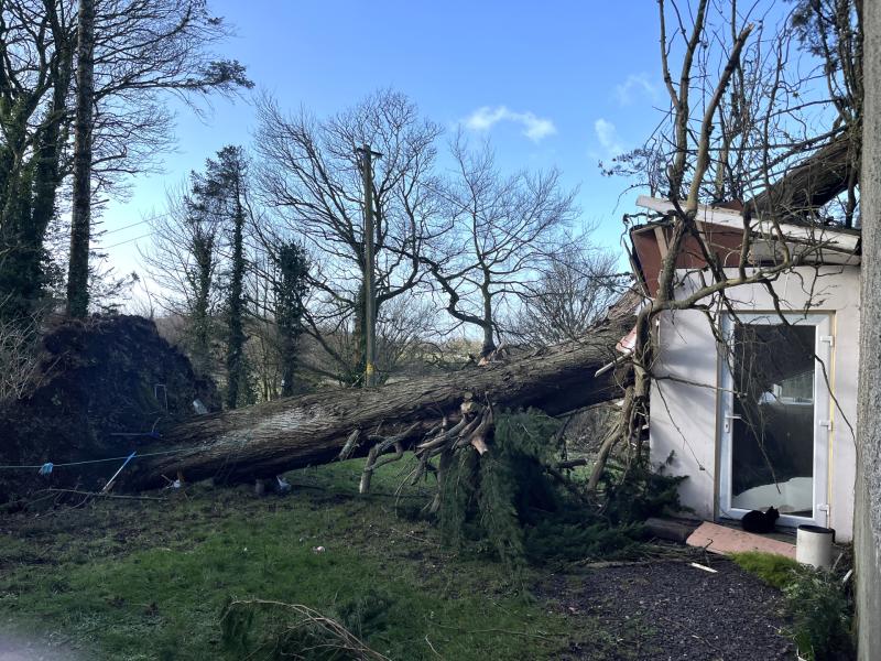 Outrage as hundreds in Leitrim left without power for weeks 