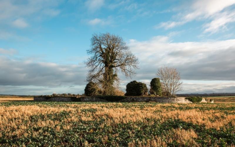 Get involved in Kildare with the Heritage Council&rsquo;s Adopt a Monument Scheme