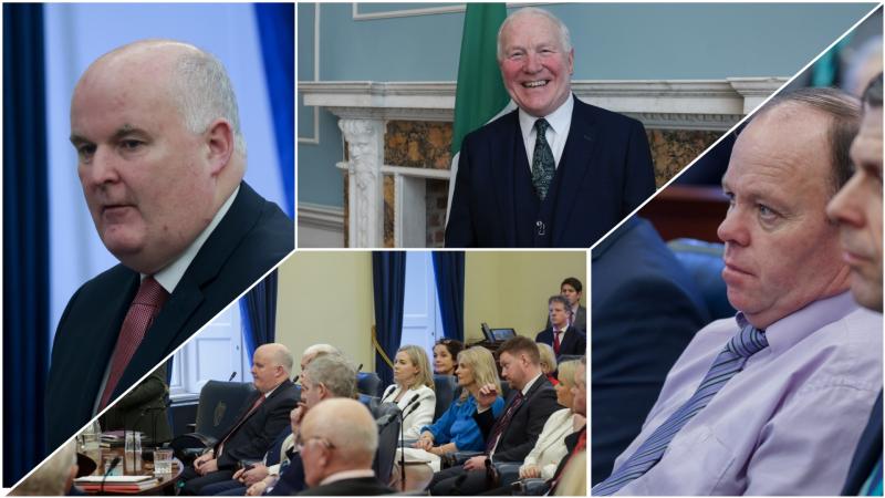 Perseverance pays off: Unprecedented for one of the smallest counties Longford to have three Senators 
