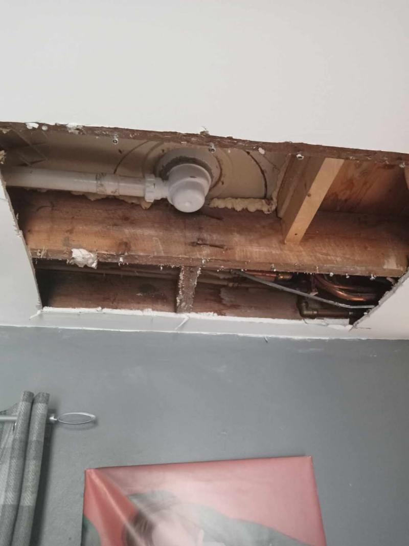 Kilkenny County Council issue statement as local woman faces life in mouldy home