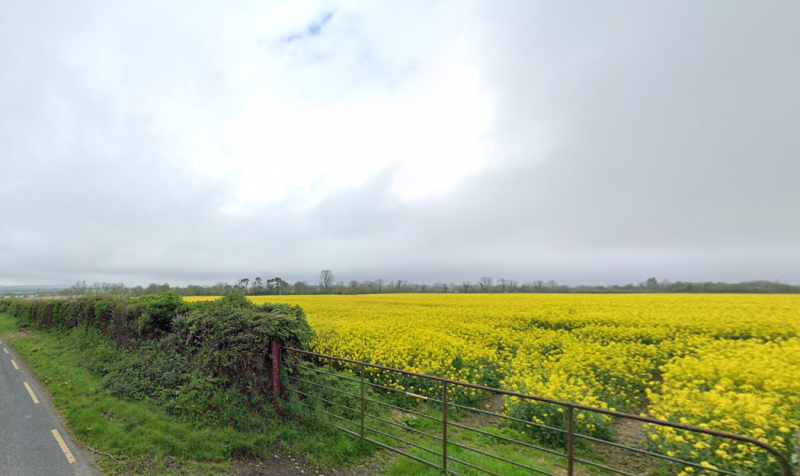 Planning application received for 10 new homes to be built in County Carlow 