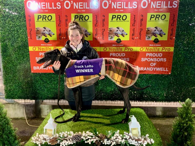 Derry Greyhounds: Old Fort Lakota fastest over Brandywell’s 500