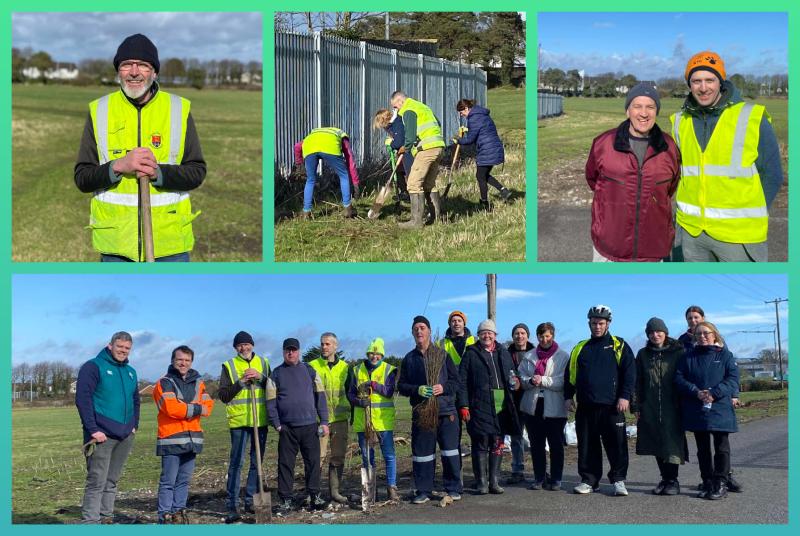 Laois locals go green in tree planting initiative