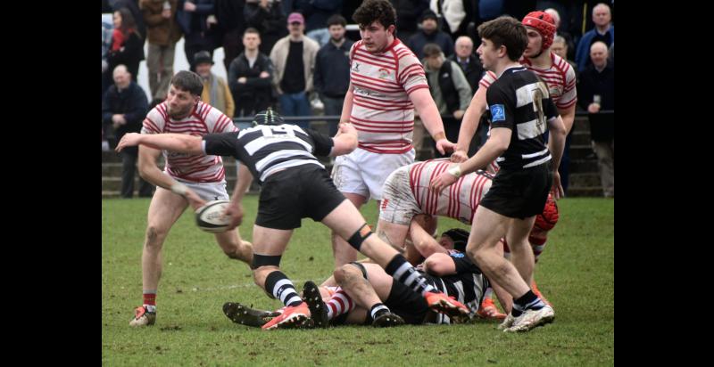 Nenagh Ormond in action against Old Belvedere last Saturday.