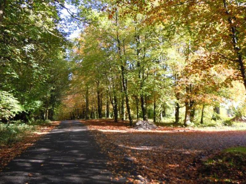 Major boost for Leitrim and Sligo Greenways with nearly €3 million investment