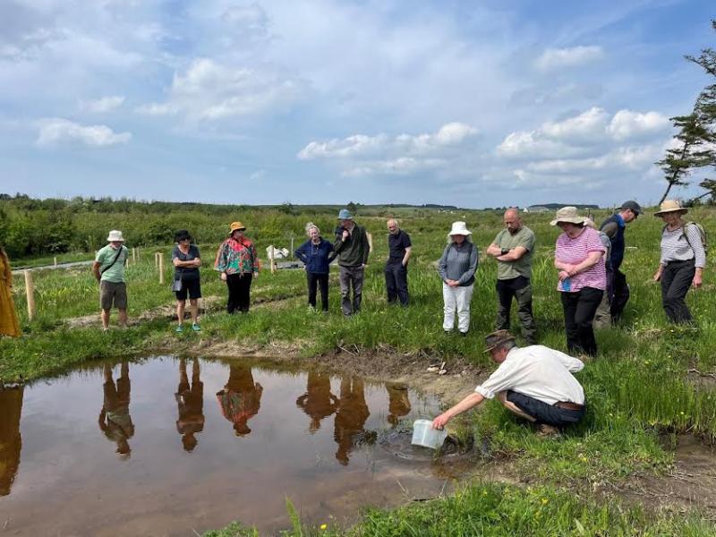 Aim of this project is to help create habitats that have proven benefits for biodiversity