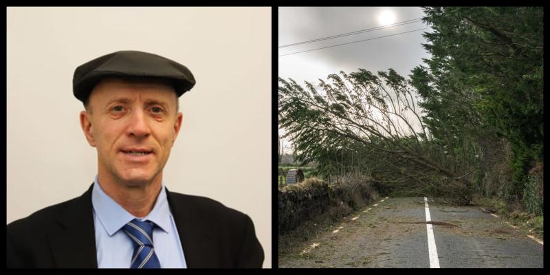 Leitrim councillors seek meeting with Minister on forestry taskforce