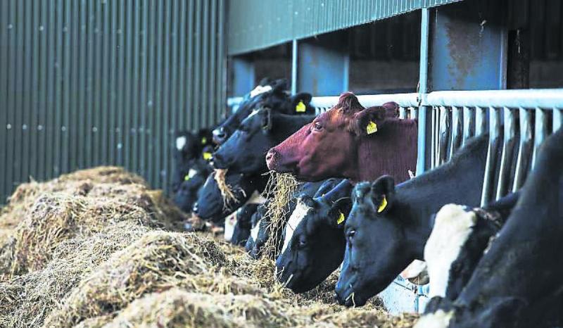 Frustration mounts among Leitrim farmers over delayed ACRES payments 