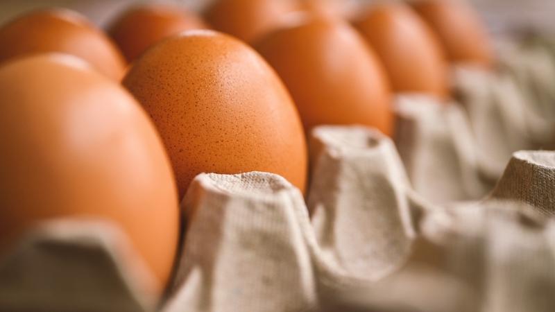 Garda probe after Gortahork house pelted with eggs