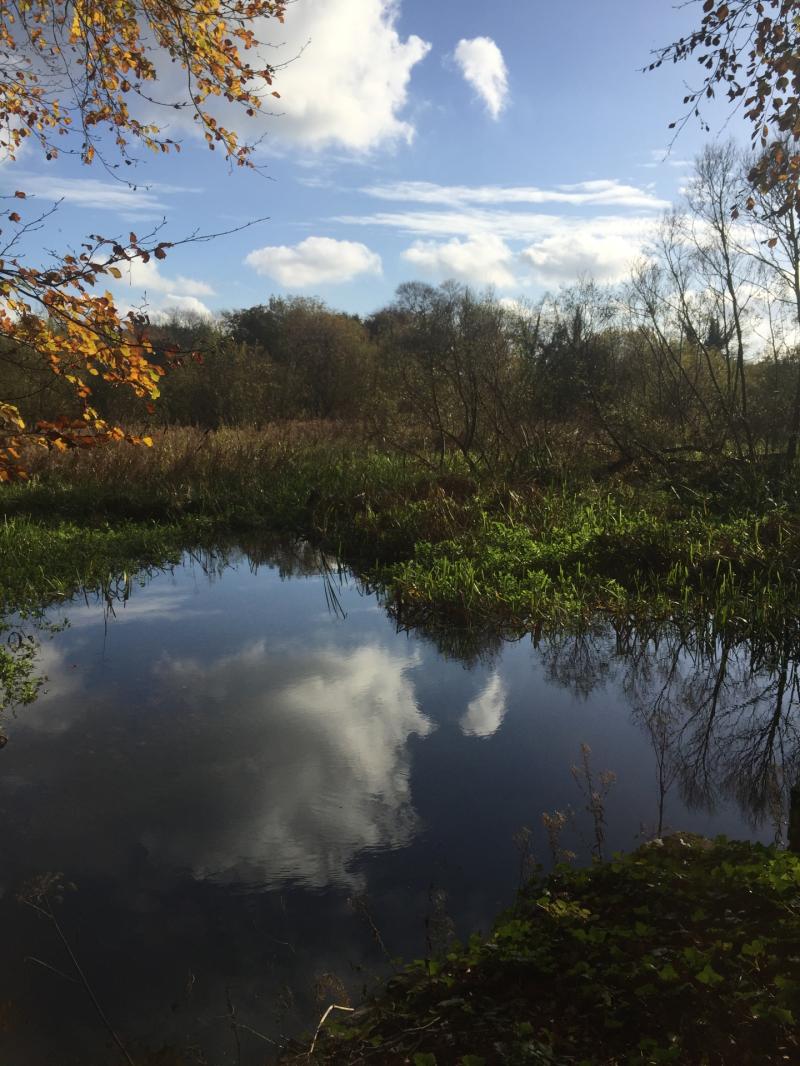 &euro;300,000 to be spent on newly open public garden in Kildare