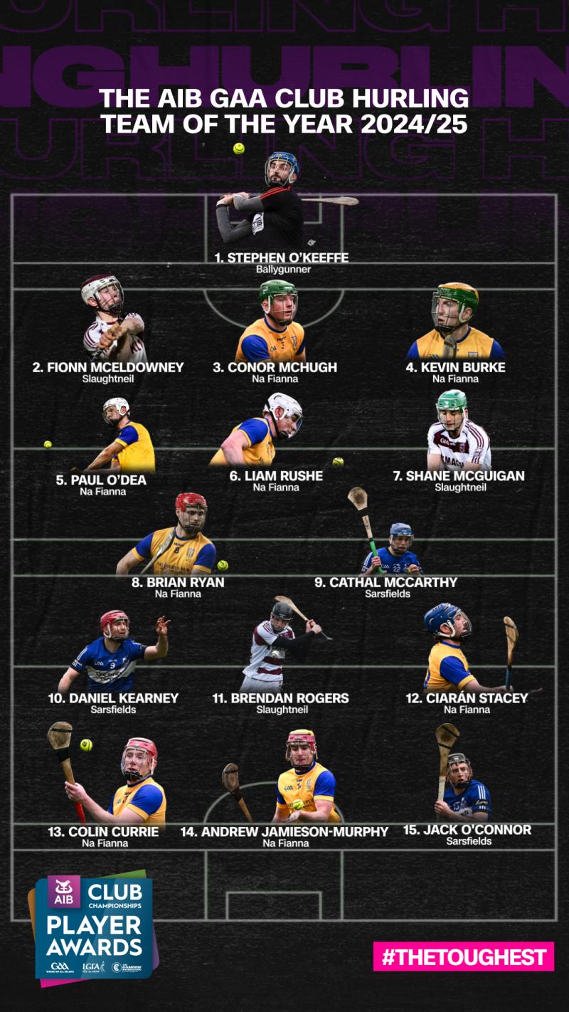 AIB GAA Club Hurling Team of the Year 24/25