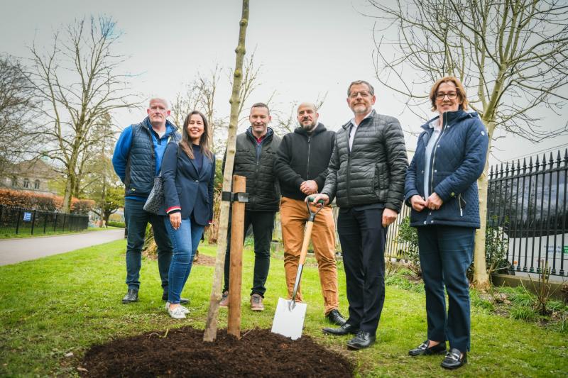 ‘Ambitious’ tree planting project takes root in Limerick
