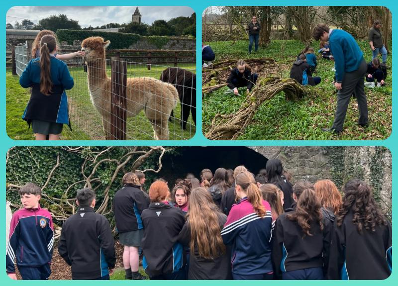 PICTURES: Laois students have fun foraging with furry friends