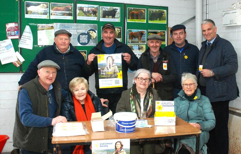 Roscrea mart Daffodil Day 2025