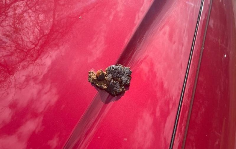 Warning in Kildare after dog poo 'launched' at car in horrifying incident
