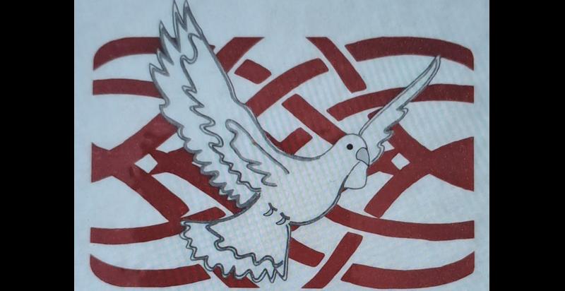 Tipperary support centre's first fundraising lunch in six years was resounding success