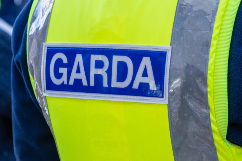 Registration plates stolen from vehicle parked in Limerick overnight