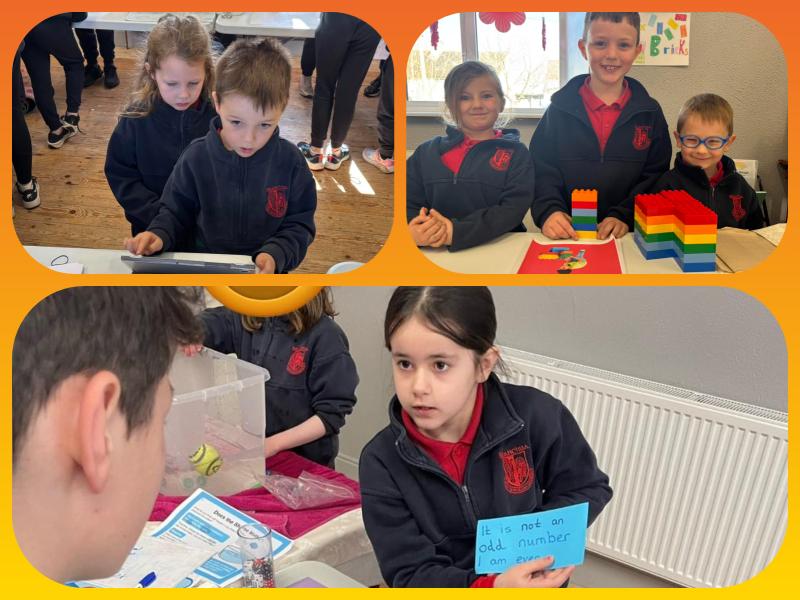 PICTURES: Laois Junior pupils hold fantastic STEM Show and Tell in school!