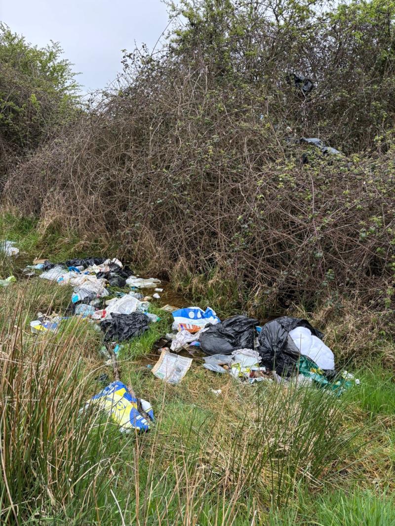 Calls for CCTV crackdown as illegal dumping blights Dundalk&rsquo;s Racecourse Road