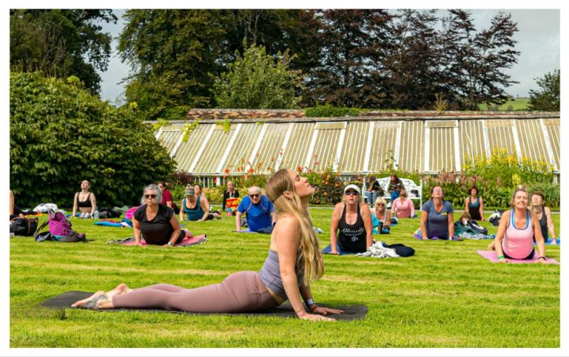 Escapism and wellness for this year's Restival in Waterford