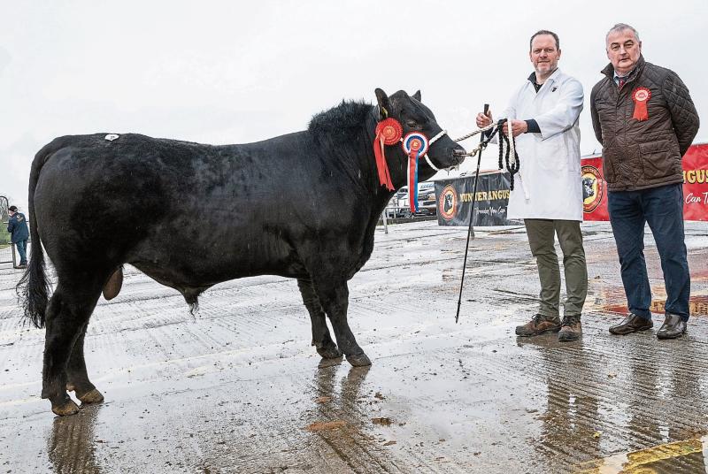 Limerick hurler Shane O&rsquo;Brien not the only &lsquo;bull&rsquo; putting on quality displays in his hometown