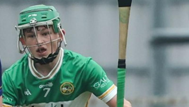 Offaly fall away in second half to qualify as group runners-up