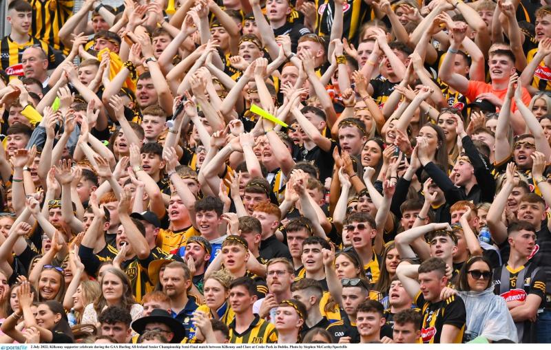 'A Bully' - Public slam 'aggressive' 'so called' Kilkenny hurling supporter