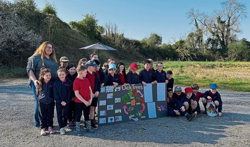Offaly company celebrates 25 years in business with oak tree planting and time capsule project