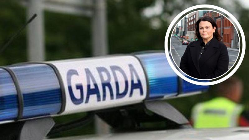 Thieves abandon garden shed in Limerick following failed burglary attempt