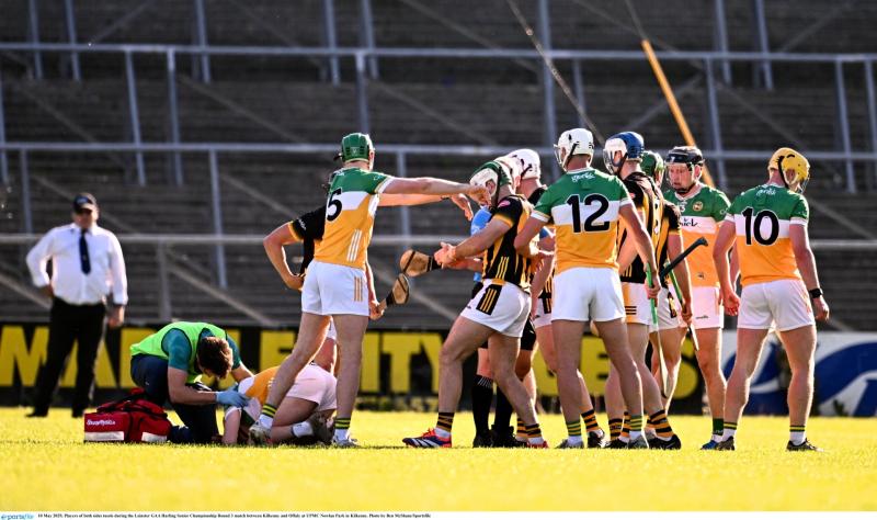 Offaly hurling team selected for crunch Wexford clash