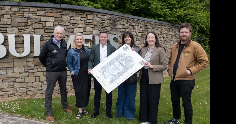 Tipperary music festival is a celebration of local and national talent
