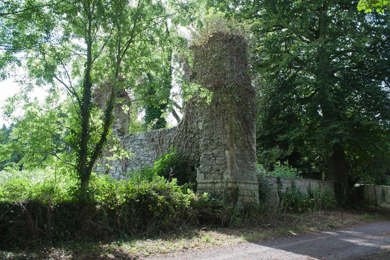 Tidy Towns group gets grant to begin conserving 800 year old Kildare ruins 