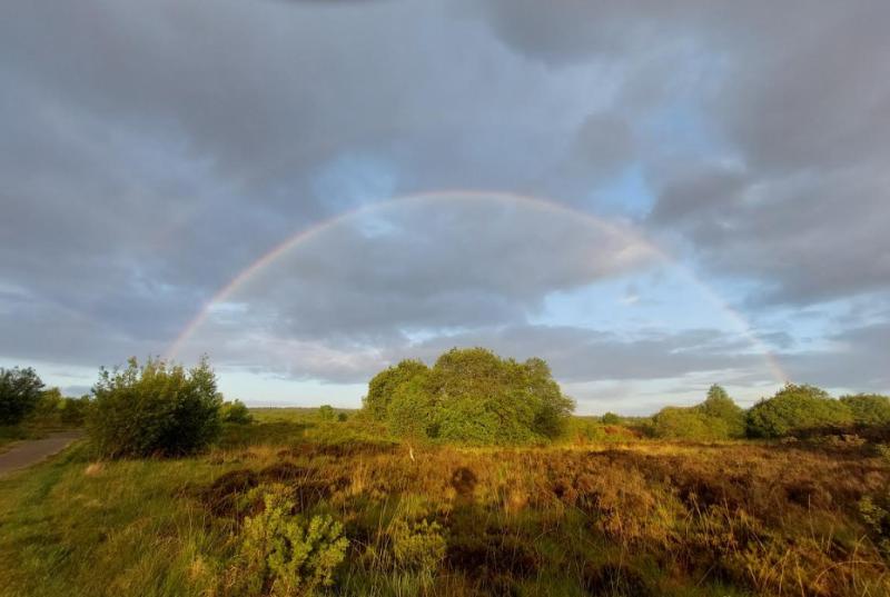 €350,000 boost for Lough Boora and Midlands trails announced