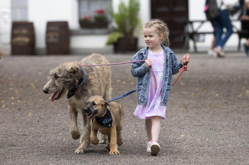 'Fantastic day out': New national dog show comes to Bunratty Castle and Folk Park