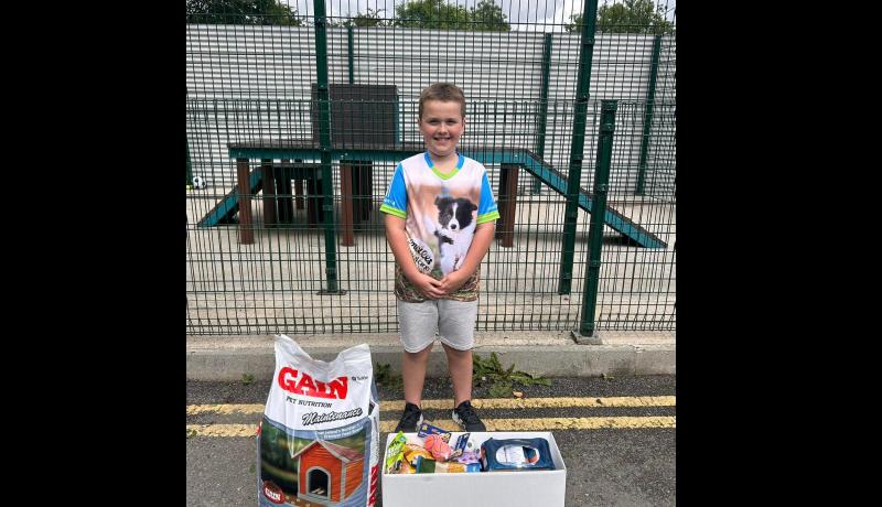 'What a wonderful young man' Young man makes heartwarming donation to Carlow dog shelter