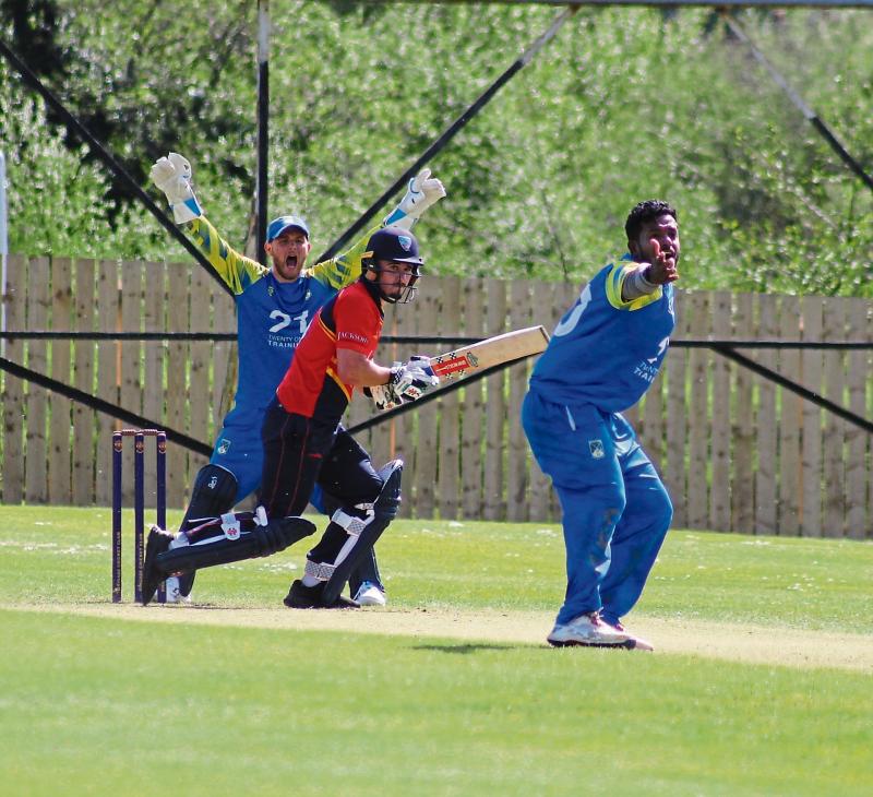 North West Cricket: Cup action all the way this weekend