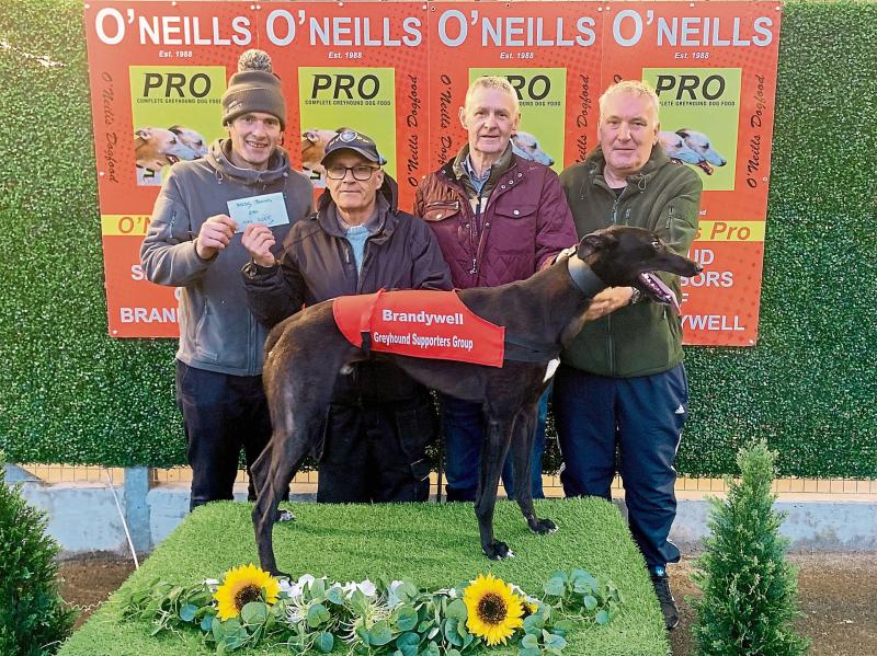 Derry Greyhounds: Inniskeen Mandy lands Dorotas Wildcat at Stud Trophy